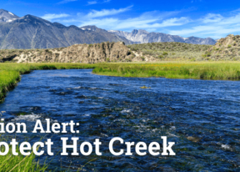 hot creek