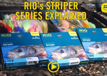 RIO Striper Fly Line Series Explained