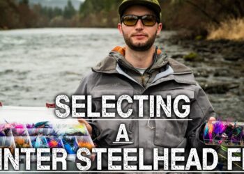 Selecting A Winter Steelhead Fly