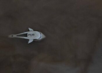 The Migration of Lego Sharks