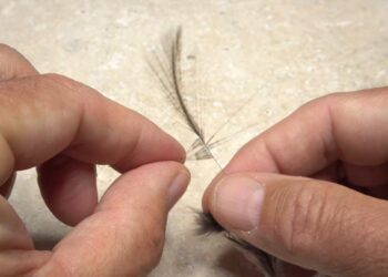 Video: How to Create Perfect Hackle-Fiber Fly Tails