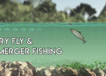 Dry Flies & Emergers – How to Use