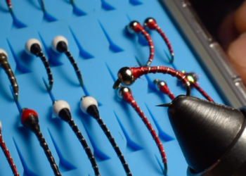 Screen Shot 2021-01-26 at 9.04.23 AM