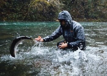 bWFpbi9pbWcvcGFnZXMvNWQyMDM0ODcuanBn