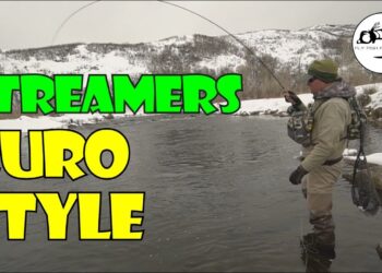 Streamer Fishing with a Euro Nymphing Rig