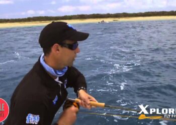 Tackle Safari Saltwater flyfishing – Marlin on fly