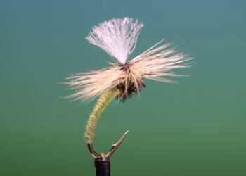 Tying Tuesday: Klinkhammer | MidCurrent