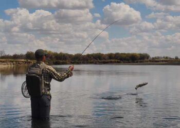 Video: How to Fish Flat Water Under a Bright Sun