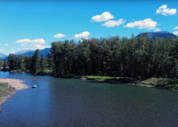 Fly Fishing Cutthroat