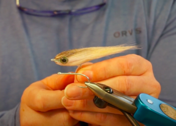 Screen Shot 2021-06-16 at 7.41.58 AM