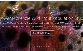 Screen Shot 2021-06-25 at 5.39.58 AM