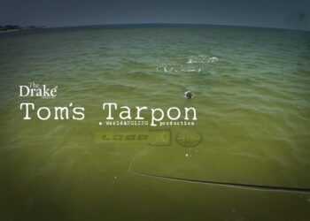 TBT: Tom’s Tarpon: Fly Fishing For Tarpon
