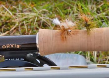 Video Pro Tips: Fly Choice vs. Presentation