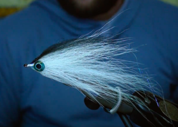 Screen Shot 2021-07-10 at 8.15.20 AM