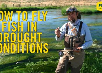 How To Fish in Drought Conditions