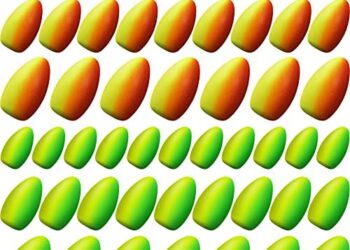 Skylety 60 Pieces Foam Floats Bullet Fishing Foam Snell Floats Fishing Rig Floats Spinner Rig Floats Pompano Rigs Floats Oval Fly Fishing Strike Indicators for Trout Catfish Walleye