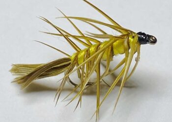 The Yallerhammer, an Appalachian Classic