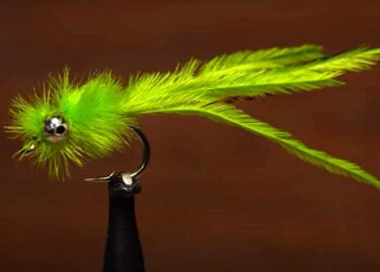 Video: How to Tie a Damselfy Nymph