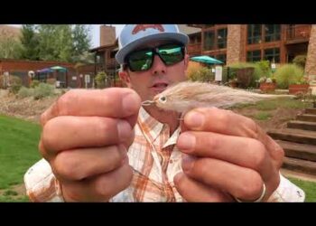 Baja Fly Fishing Action // Gear Dump and Tips for Success