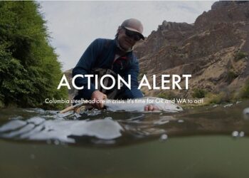 Screen Shot 2021-08-27 at 6.46.51 AM