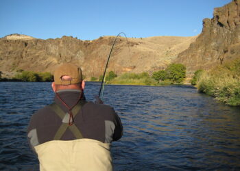 steelhead on the deschutes