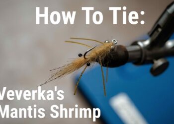 How To Tie: Veverka’s Mantis Shrimp Fly | A Bonefish Treat