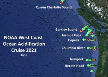 Low-oxygen waters off Washington, Oregon coasts risk becoming large ‘dead zones’