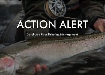 Screen Shot 2021-08-13 at 5.51.13 AM