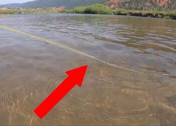 Quick Tips: How to Hold Your Rod While Stripping Line