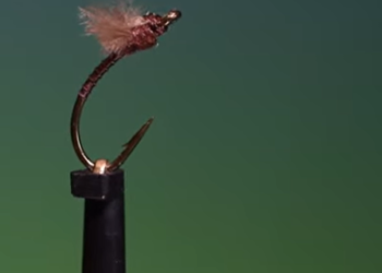 Tying Tuesday: CDC Spent Wing Midge