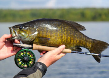 Video: Top 5 Streamers for Smallmouth Bass