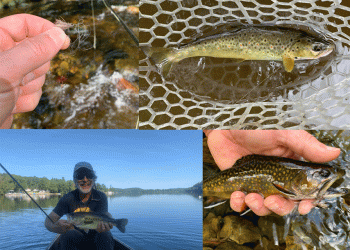 Photos: Week Three of This Year’s “20 September Days” Contest