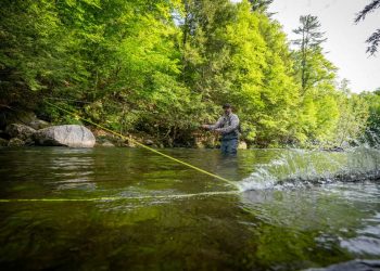 Pro Tips: Trout-Spey Lines Demystified