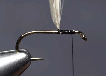 Video: 3 Ways to Tie-In Dry-Fly Hackle