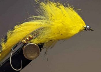 A Fly That Lives up to Its Name