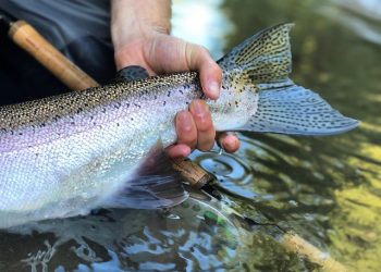 bWFpbi9pbWcvcGFnZXMvNmY2NjNmMTMtMTZmMy00YmY1LWExZWMtNDFhYmI0NTYyYTU3XzFfMTA1X2MuanBlZw==