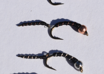 Screen Shot 2021-10-07 at 10.01.13 AM