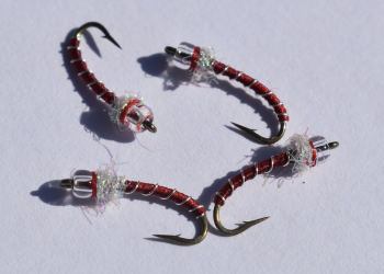 Screen Shot 2021-10-07 at 10.20.19 AM