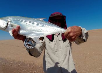 Misguided Fly Fishing Adventures on Cast Away Island!