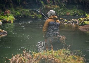 SIGHT FISHING to WILD Rainbow Trout!!
