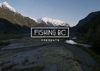 Squamish Fly Fishing Trips – Moldy Chum