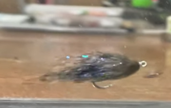 Tying Tuesday: Sandstorm Streamer