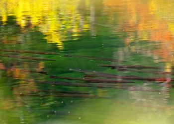 Wednesday Wake-Up Call 10.13.21 – Orvis News