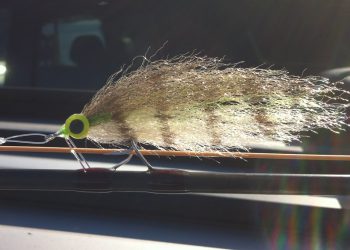 3 Tips for Picking Flats Flies