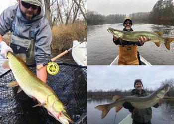 Book Excerpt: How to Catch Muskies in Fall