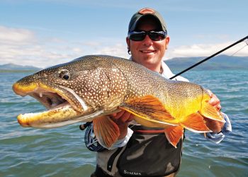 lake trout