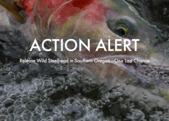 Screen Shot 2021-11-21 at 7.01.35 AM