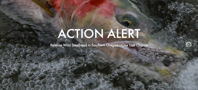 Screen Shot 2021-11-21 at 7.01.35 AM