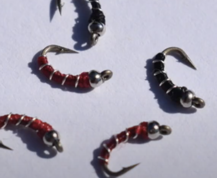 Screen Shot 2021-10-07 at 11.04.54 AM