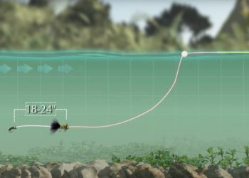 Video Pro Tips: How to Dead-Drift a Streamer Under an Indicator